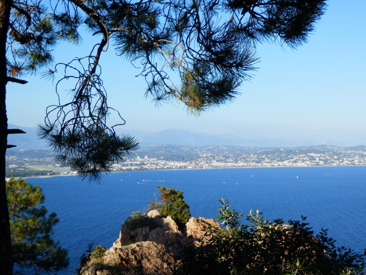 Esterel Terrasses, Roof Top, Plage, Parking Payant Кан Екстериор снимка